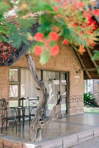 Tshukudiba Game Lodge Tom Burke Eksteriør bilde